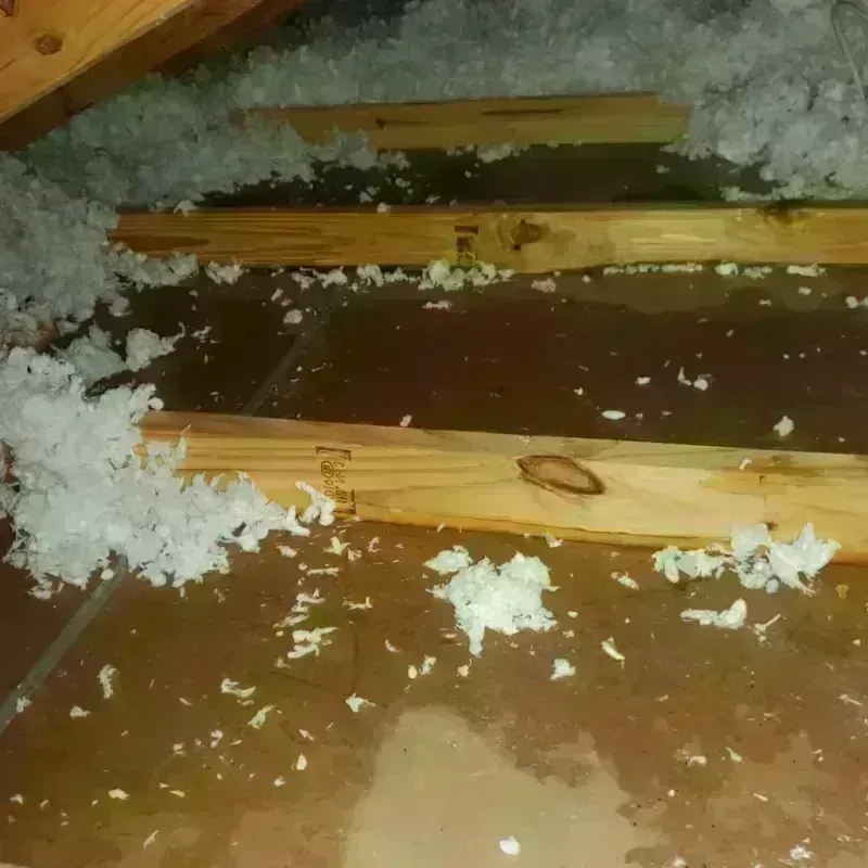 Attic Water Damage in Parkway, CA