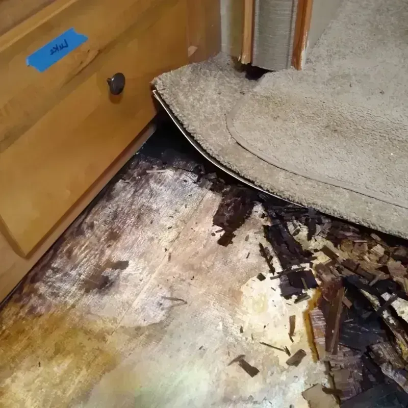 Wood Floor Water Damage in Parkway, CA